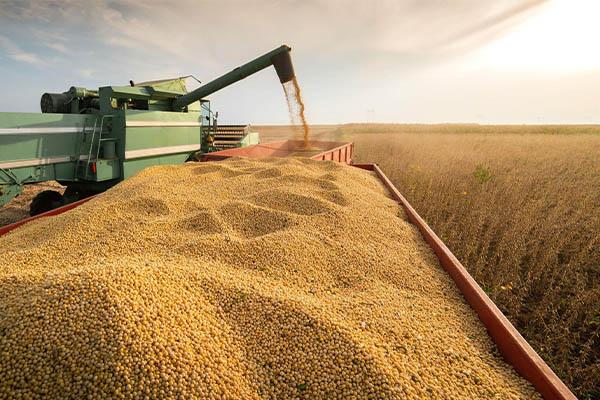Colheita de soja o principal produto exportado no Brasil